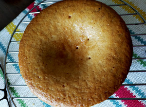 A picture of Eggless Vanilla Cake (Basic Sponge Cake).