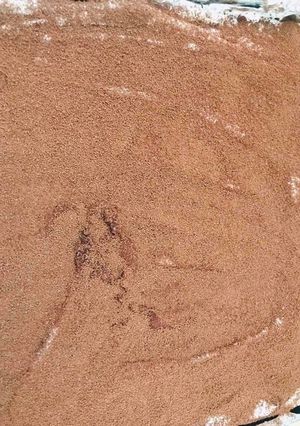 صورة لوصفة تيراميسو tiramisu