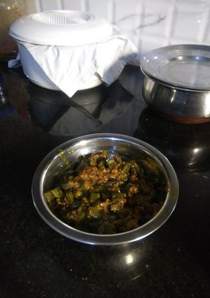 A picture of Bindi.