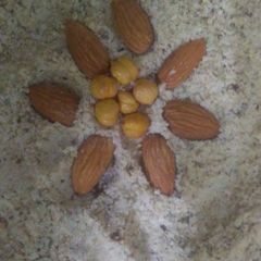 A picture of Healthy Dry Fruit Powder (Fakki).