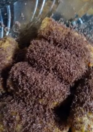 Foto resep Pisang krispi coklat