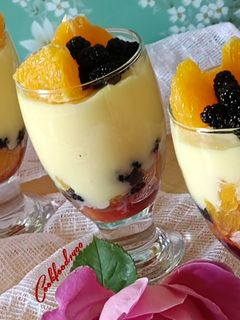 عکسی از دستور کاسترد میوه ای