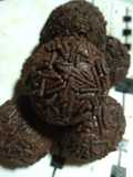 Trufas de chocolate con licor