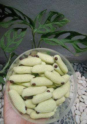 Foto resep Cookie ulat sagu