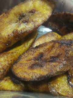 A picture of Dodo.