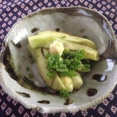A picture of Japanese Grilled Eggplant.