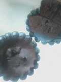 Cakes de chocolate