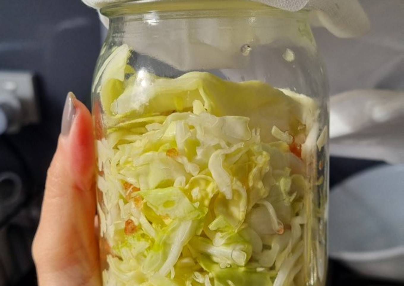 Homemade Sauerkraut