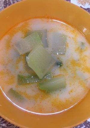 Foto resep Sayur lodeh anak (fiber cream)
