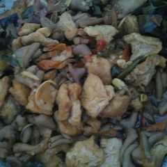 รูปของ Oseng tahu usus