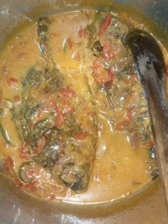 A picture of Fish in Coconut Milk.