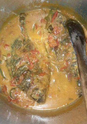 A picture of Fish in Coconut Milk.