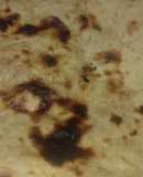 Tandoori Roti