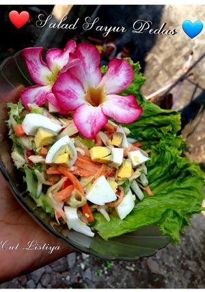 Foto resep Salad Sayur Pedas 🥗