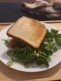 Sandwich Gourmand