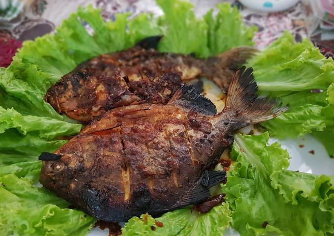 Resep Ikan Bakar Bumbu Kecap, Bisa Manjain Lidah