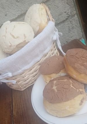 Una foto de Conchas