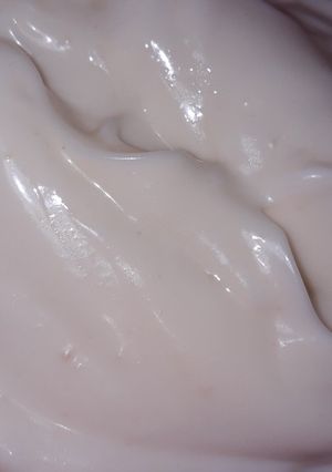 A picture of Homemade mayonnaise.