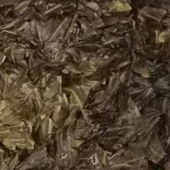 A picture of Tricia's Collard Greens.