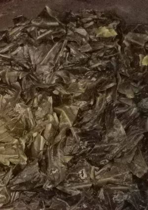 A picture of Tricia's Collard Greens.