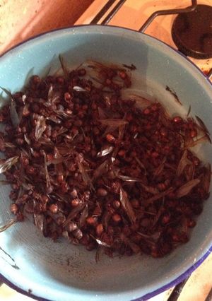 Una foto de Salsa de chicatanas 🐜🍽