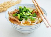 A picture of beef udon