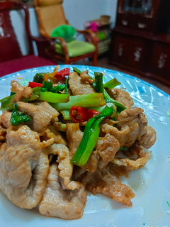 A picture of Stir-Fried Pork with Scallions.