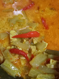 Foto resep Sayur Santan Pedas Labu Siam + Tempe