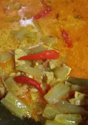 Foto resep Sayur Santan Pedas Labu Siam + Tempe