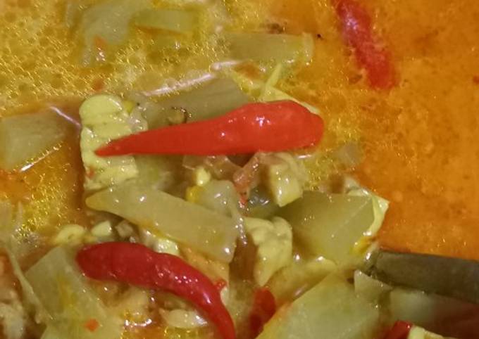 Sayur Santan Pedas Labu Siam + Tempe foto resep utama