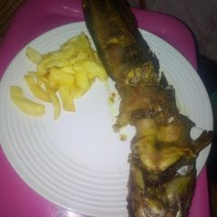French fries and oven grilled cat fish A picture of French fries and oven grilled cat fish.