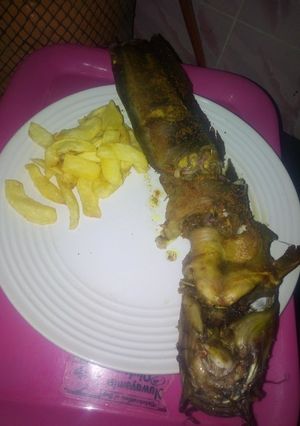 A picture of French fries and oven grilled cat fish.