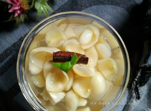 Foto resep Setup Salak