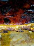 Cerdo al horno