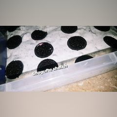 A picture of Oreo biscuits ice cream 🍦.