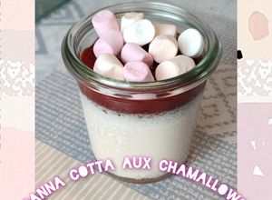 Une photo de Panna cotta aux chamallows et coulis de fruits rouges