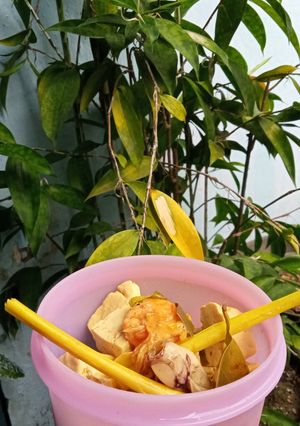 Foto resep Asem Pedes Tahu Cumi Udang (Menu Diet Spesial)