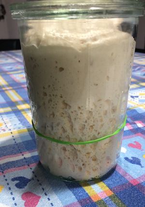 Foto di Rinfresco della pasta madre
