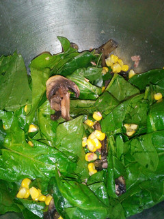 Una foto de Ensalada de espinacas con tocino UTVCO