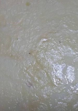 রাবড়ি (rabri recipe in Bengali) রেসিপির প্রধান ছবি