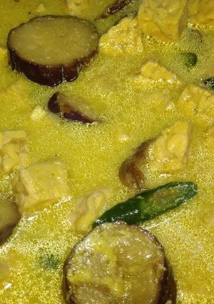 Foto resep Sayur terong tempe santan gampang