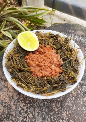Foto resep Semanggi sambal serai khas banyuwangi
