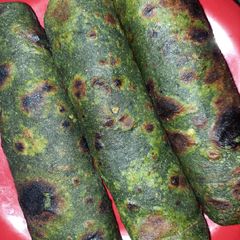 A picture of Bathua paratha.