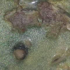 A picture of Meat stock.