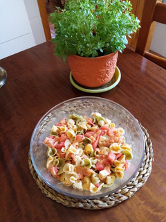 Foto principal de Pasta fría con salmón ahumado y queso fresco