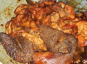 Gambar usus sapi presto