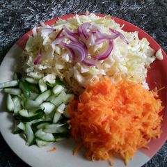 A picture of Carbage Salat.