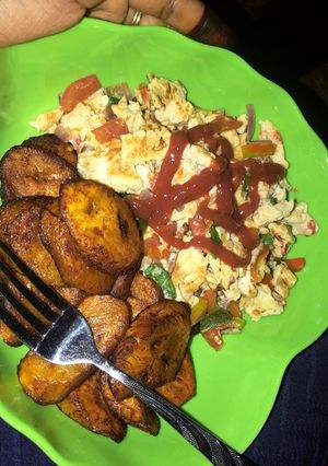 A picture of Dodo and scrambles eggs.