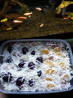 Foto resep Salad buah