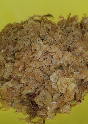 Foto resep Udang rebon